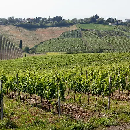Borgo Vigna Vecchia